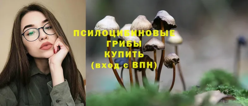 купить наркотики цена  Анадырь  Галлюциногенные грибы Magic Shrooms 